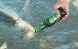 С пивком, да за карасём!