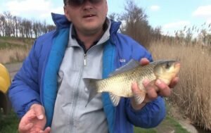 Первая весенняя рыбалка на карася