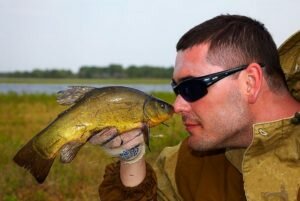 Май – лучше время для ловли линей