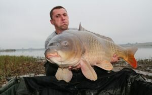 Где следует искать карпа. Перспективные места ловли