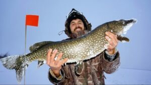 Советы и рекомендации от опытного жерличника