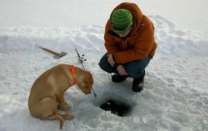 Возможно ли зимой перекормить рыбу? Рыбацкий эксперимент