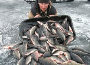 Секрет богатых зимних уловов. Прикормка «Бомба»